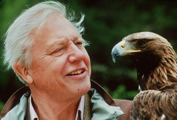 David Attenborough s orlem skalním, 2009.