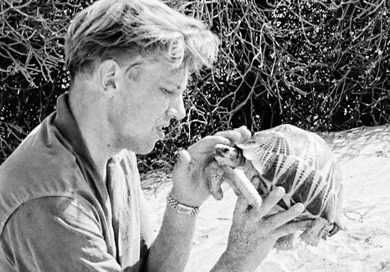 Jednorázové užití / Fotogalerie / Legendární britský přírodovědec David Attenborough slaví 95. narozeniny