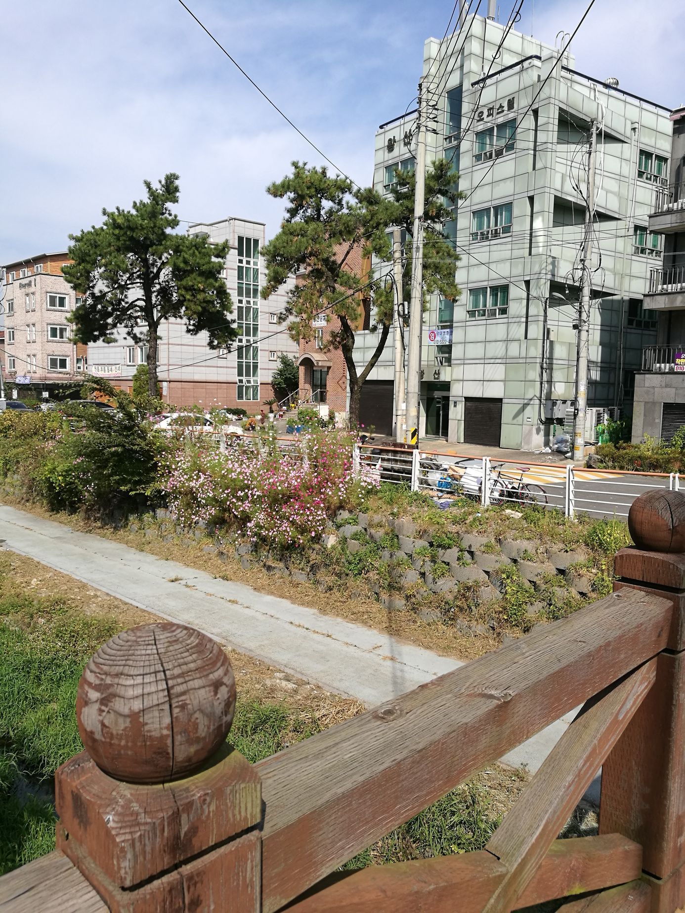 archiv sinoložky Dominiky Sakmárové