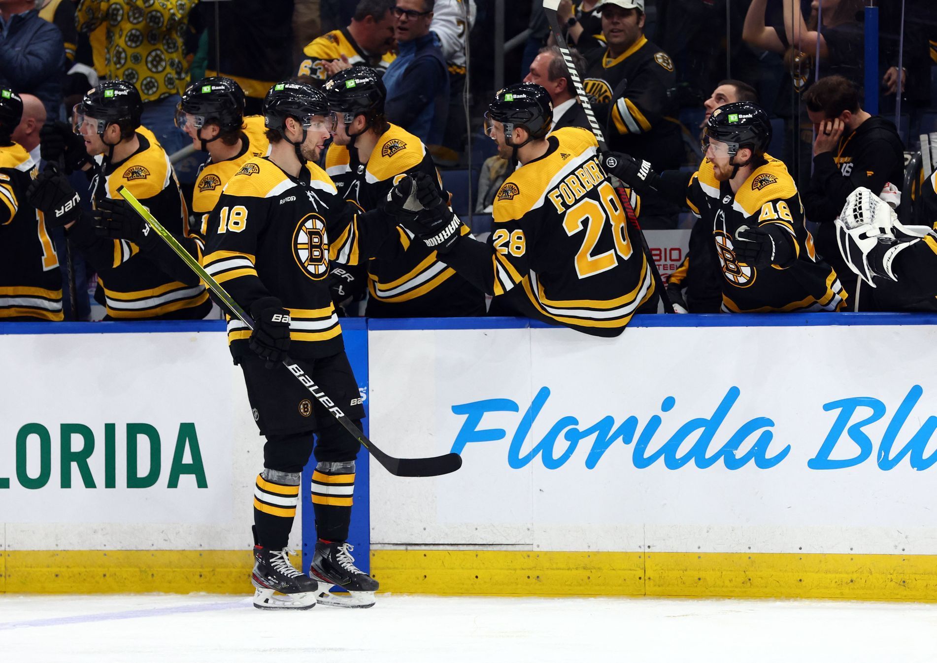 NHL: Boston Bruins at Tampa Bay Lightning