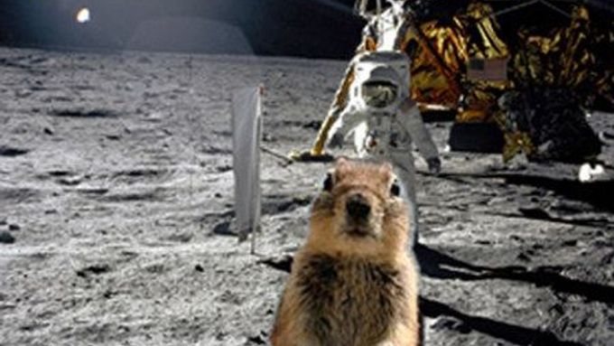 Kdo byl první na Měsíci? Neil Armstrong, nebo z Apolla vyhupskla dřív tahle veverka?