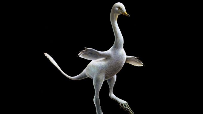 Umělecká rekonstrukce dinosaura, pojmenovaného Halszkaraptor escuilliei.
