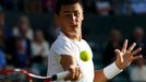 Wimbledon - Tomáš Berdych vs. Bernard Tomic