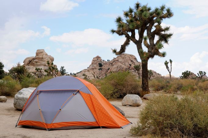 Národní park Joshua Tree