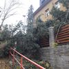 Vichr - Praha, Dejvice