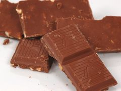 Bude se vyrábět geneticky modifikovaná čokoláda? Možná ano.