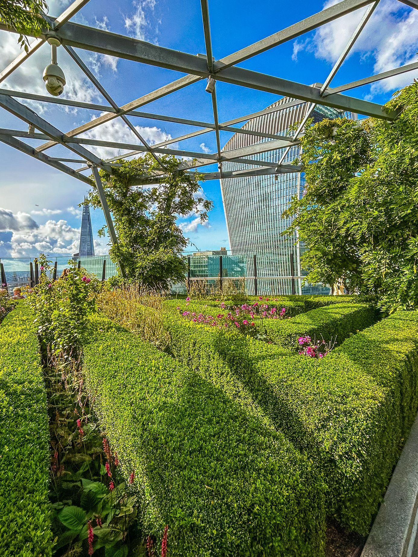 Fotky ze života v Londýně