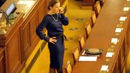 Pro premiéra nedůvěryhodná ministryně obrany, jinak pevná hráz proti vyjádření nedůvěry.