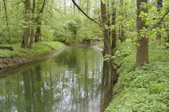 Žena chce malovat obraz. Musela o tom jednat vláda