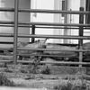 Week of Life - Jan Vrba - 11. 6. 12 - 4