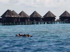 Maledivané se bojí, že jejich země jednou zmizí pod vodou.