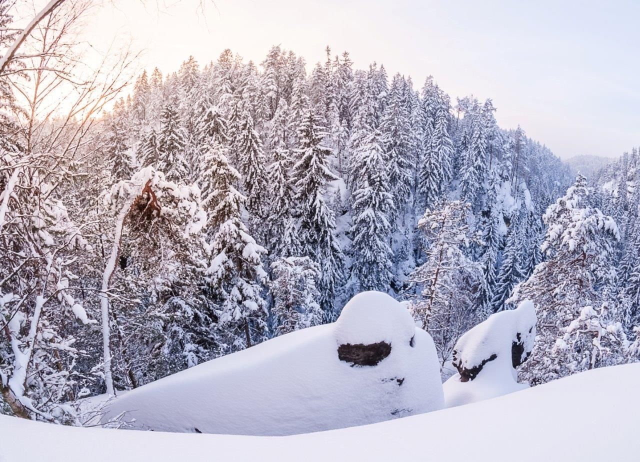 Petr Jan Juračka - Vzpomínky na svět