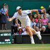 Wimbledon 2011: Andy Murray