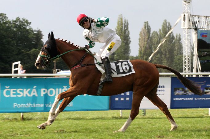 Ryzák Rabbit Well s žokejem Josefem Váňou mladším vítězí ve třetí kvalifikaci na Velkou pardubickou.