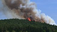 V pátek krátce po poledni vzplál mezi Dobřívem a Pavlovskem na Rokycansku les.