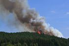Na Kokořínsku hořel další les. S plameny bojovaly desítky hasičů, pomohl jim vrtulník