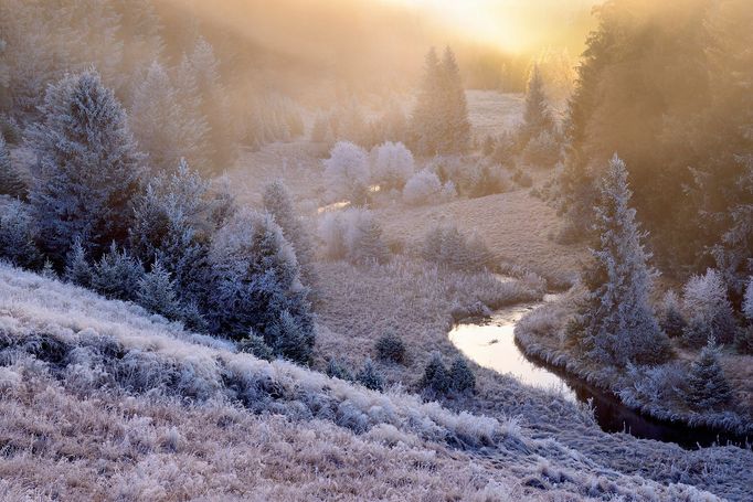 Pavel Ouředník: Šumava