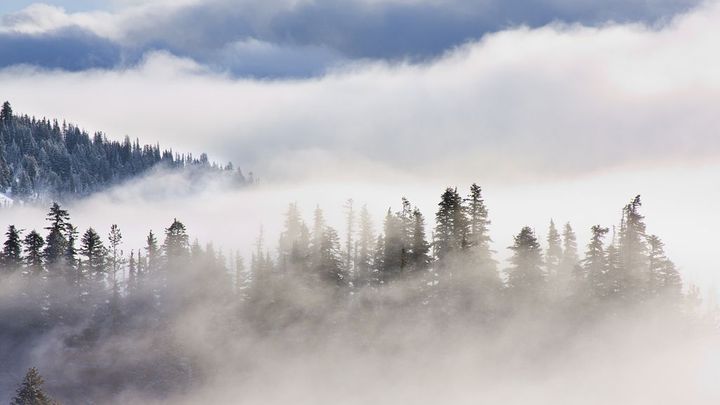 Muž na Aljašce přežil tři týdny v mrazu a divočině, zachránili ho policisté