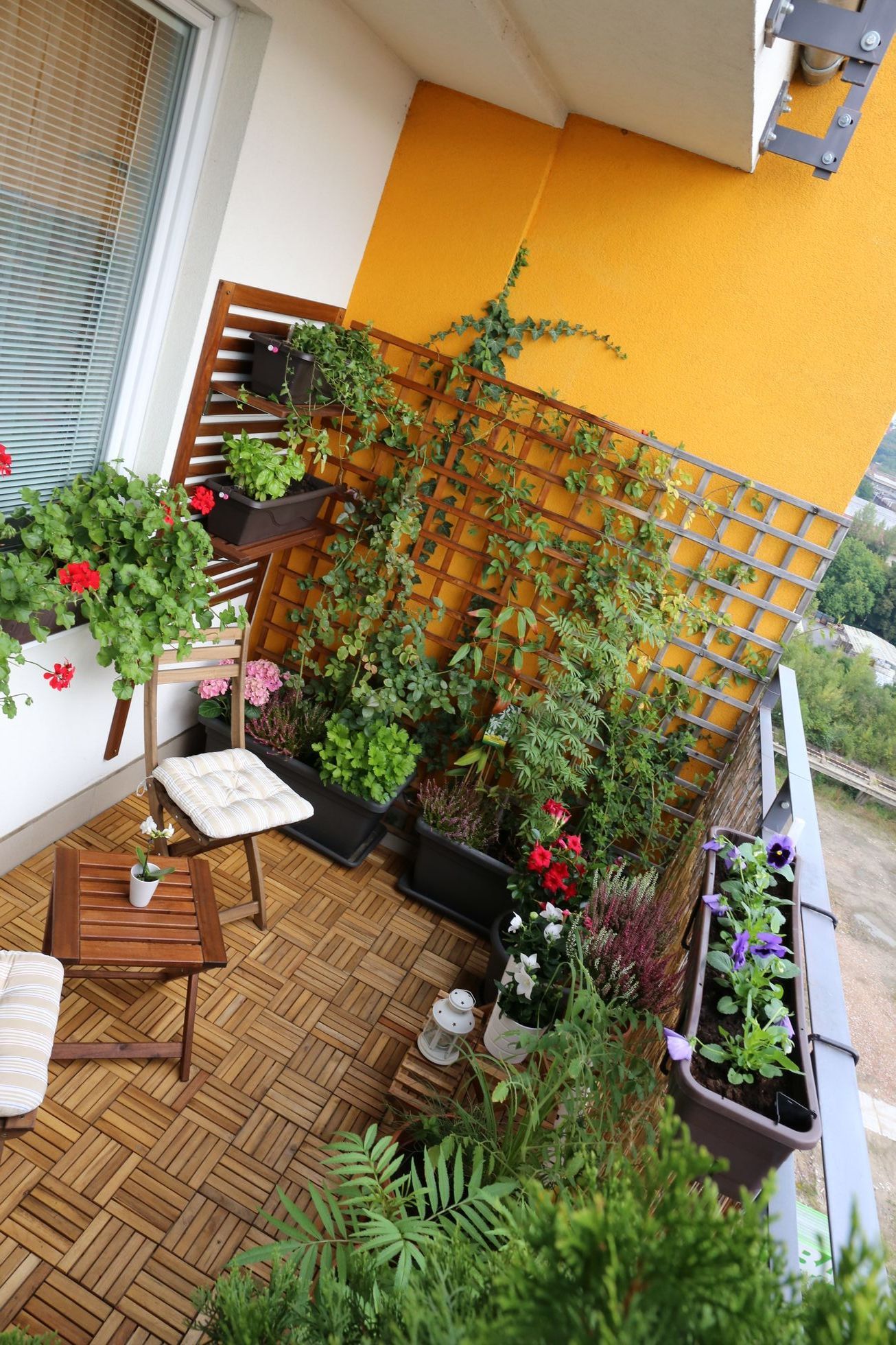 pěstování, balkon, květiny