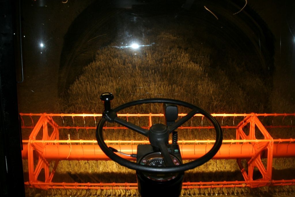 Noční žně