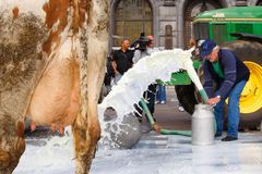 Nová čísla: Kvůli levnému mléku začaly mizet krávy