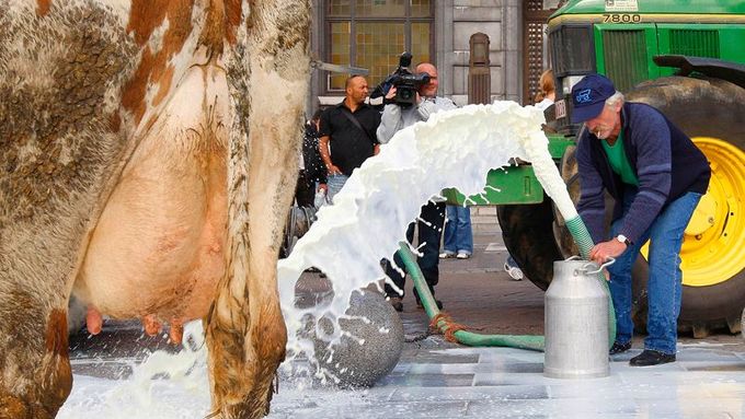 Evropští farmáři při svých protestech vylévají litry mléka do kanálů.