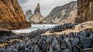 Fotografie ze soutěže Wildlife Photographer of the Year 2024