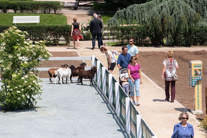 Zoo Dvůr Králové otevřela expozici o jihozápadní Africe zvanou West Cape.