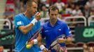 DC, Česko-Francie čtyřhra: Lukáš Rosol a Radek Štěpánek