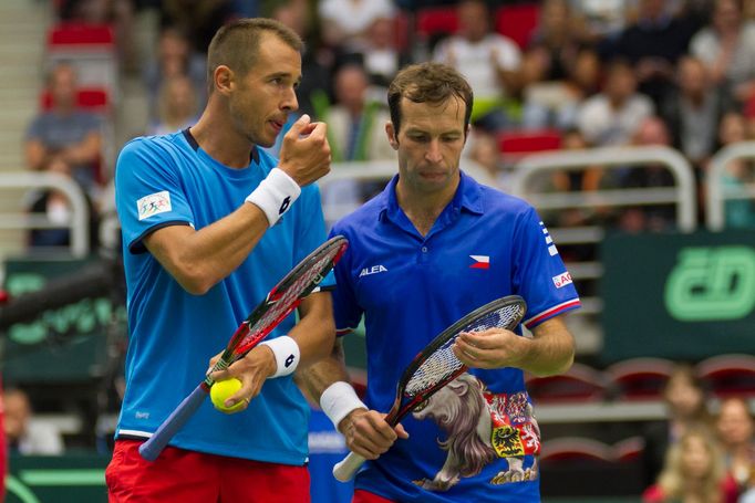 DC, Česko-Francie čtyřhra: Lukáš Rosol a Radek Štěpánek