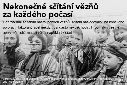 grafika - Osvětim - Nekonečné sčítání vězňů