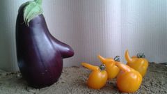 Křivák roku - zelenina a ovoce