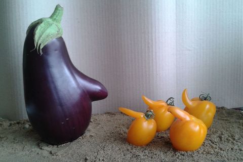 Křivák roku - zelenina a ovoce