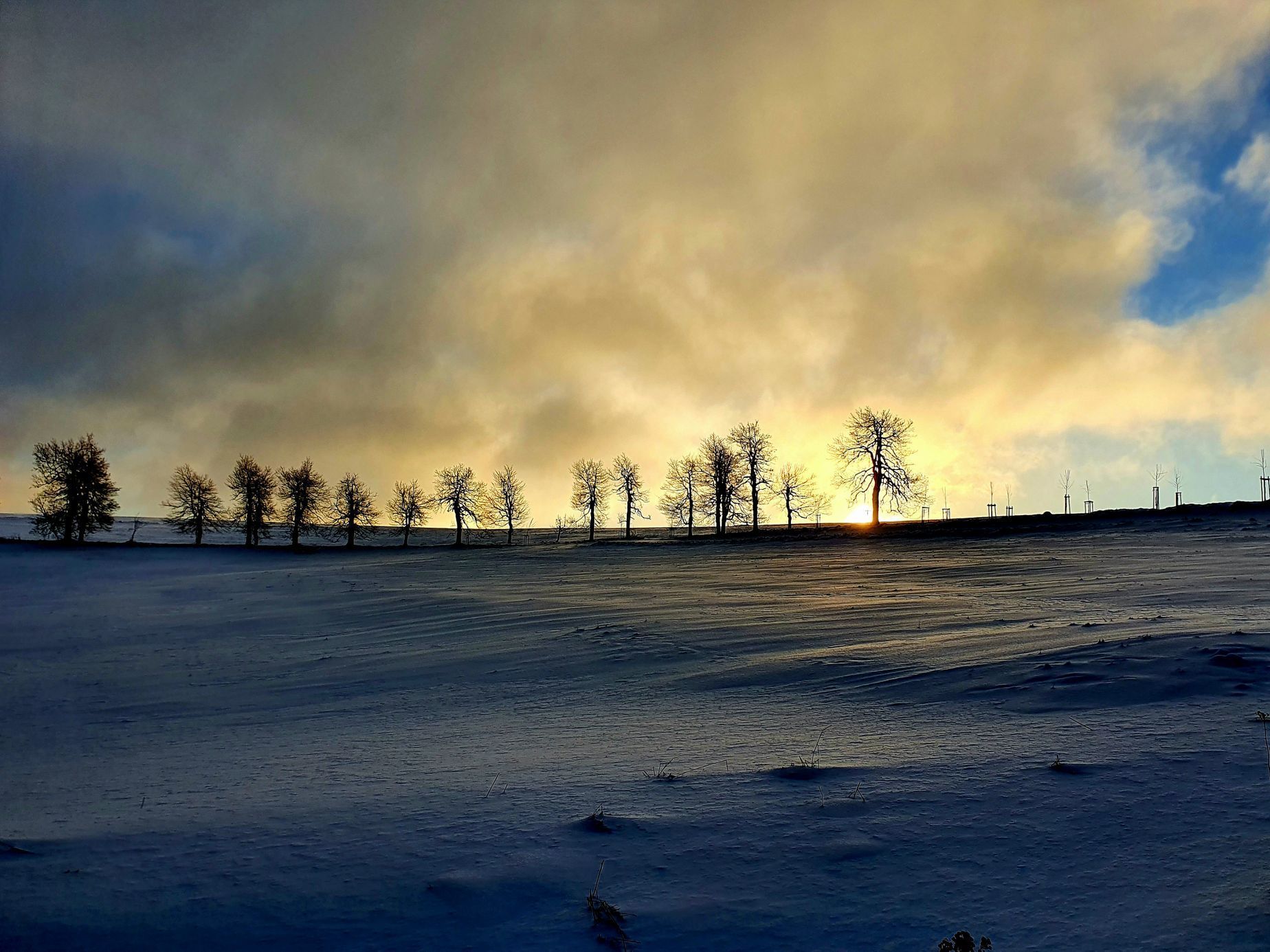 Soutěžní snímky Alej roku 2022