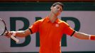 French Open 2015: Novak Djokovič ve finále