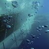 Vrak lodi Costa Concordia