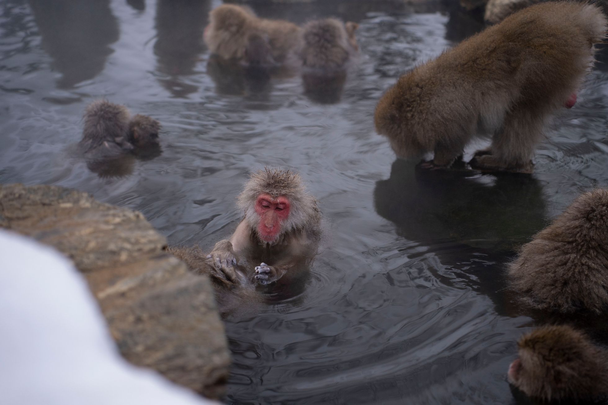 japonsko lyžování hakuba