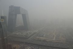 Smog v Číně zastaví fotosyntézu. A vyvolá hladomor