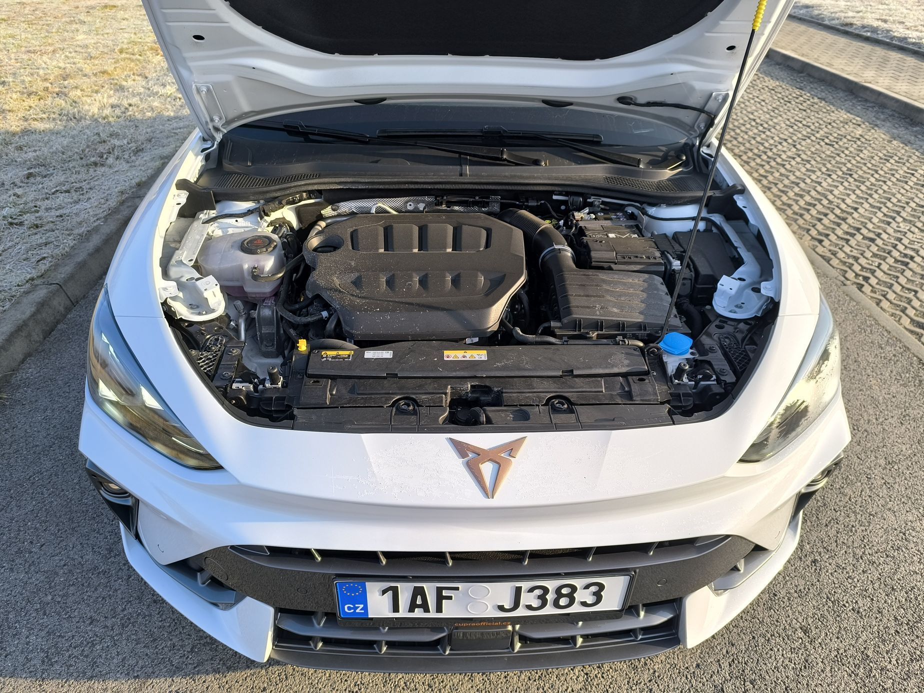 Cupra Leon 300