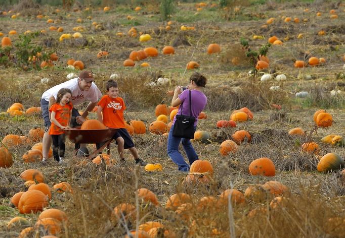 Sara Thomas (R) takes a photograph of her family after they selected their Halloween pumpkins at Mayne's Tree Farm in Buckeystown, Maryland October 27, 2012. Also pictured are (L-R) daughter Olivia, husband Jeff, and son Ryan. Halloween is four days away. REUTERS/Gary Cameron (UNITED STATES - Tags: SOCIETY) Published: Říj. 27, 2012, 8:50 odp.