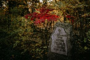 Tajemný hrob na hřbitově bláznů: kdo byla mladá žena, jejíž jméno se nesmí vyslovit?