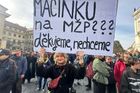 Emoce před Hradem. Protest podpořil ministr Hladík, přišla i herečka Holubová