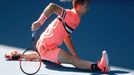 Grigor Dimitrov na Australian Open 2018