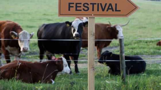 Rekordní Sázavafest vyvrcholil s Jimmym Somervillem