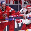 MS v hokeji 2013, Česko - Bělorusko: Petr Hubáček - Andrej Filičkin