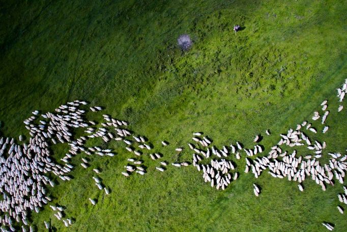 20 nejlepších fotek pořízených z dronu v roce 2016 podle serveru  Dronestagram.