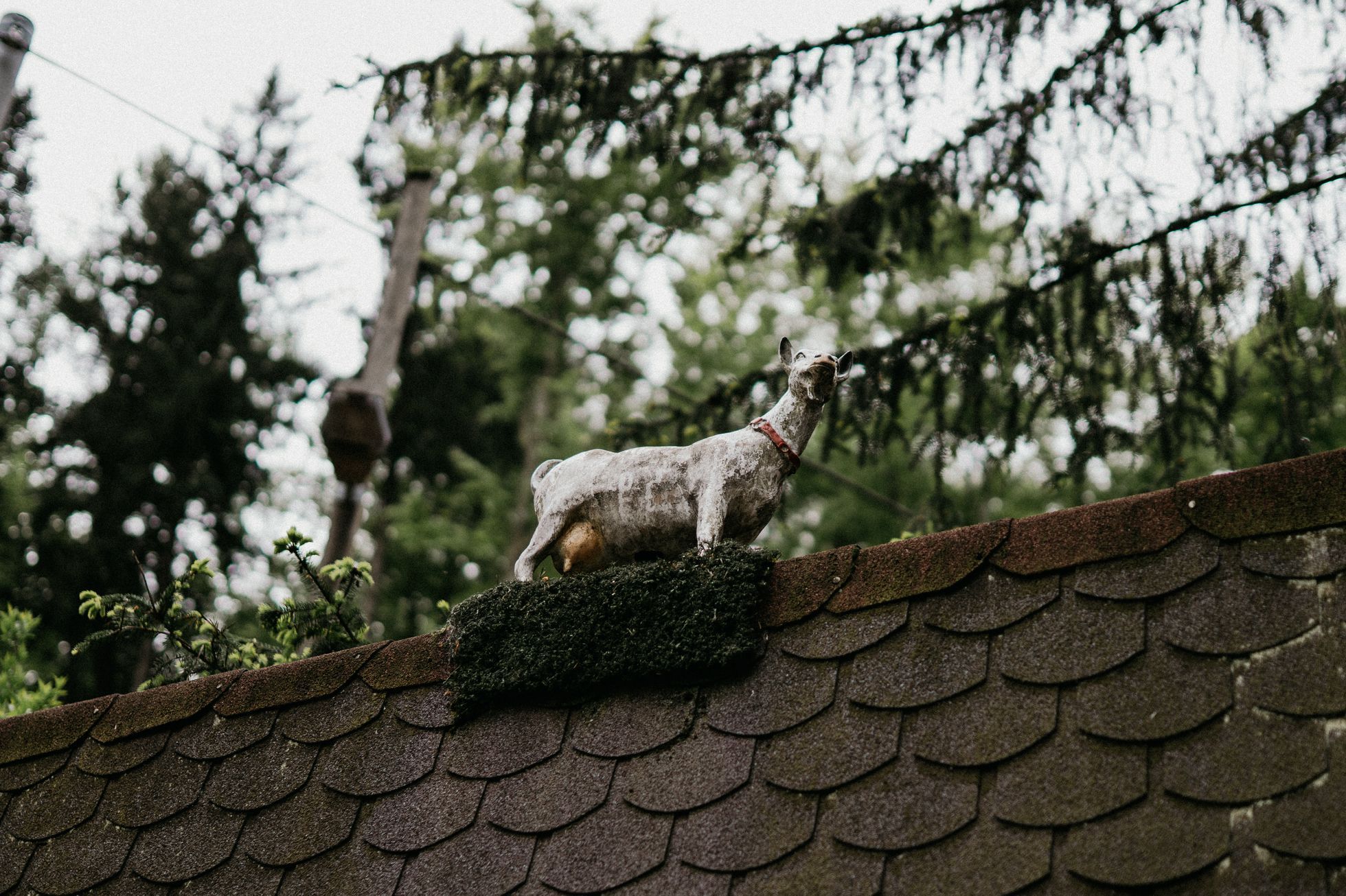 jizerské hory hausmanka