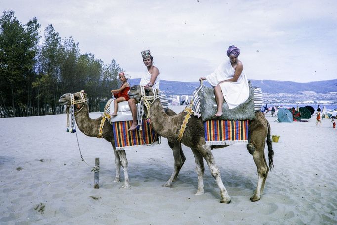 Procházka s velbloudem kdesi na pláži v Bulharsku. Rok 1970