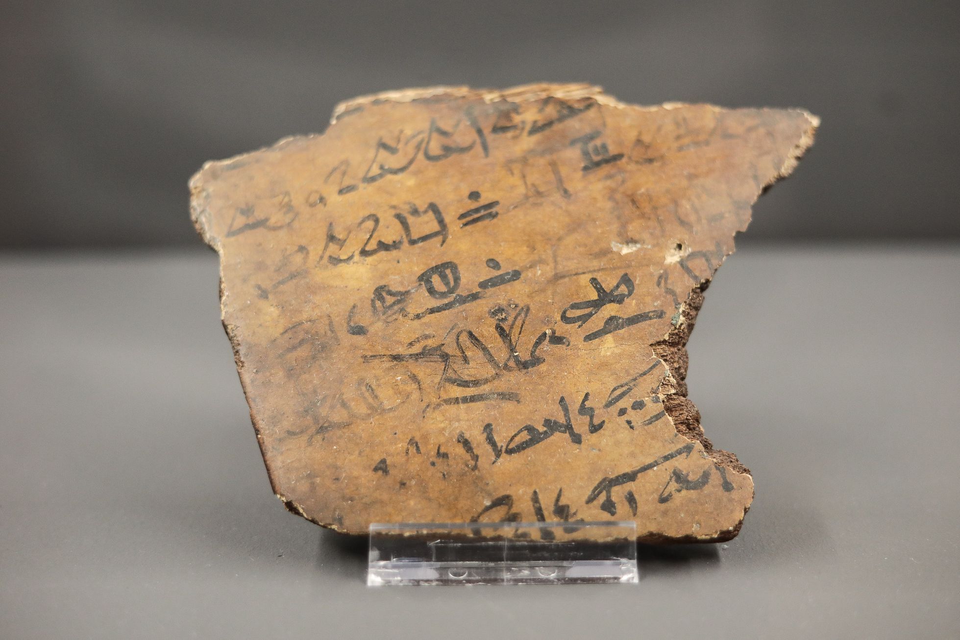 Výstava Tutanchamon RealExperience, Národní Muzeum