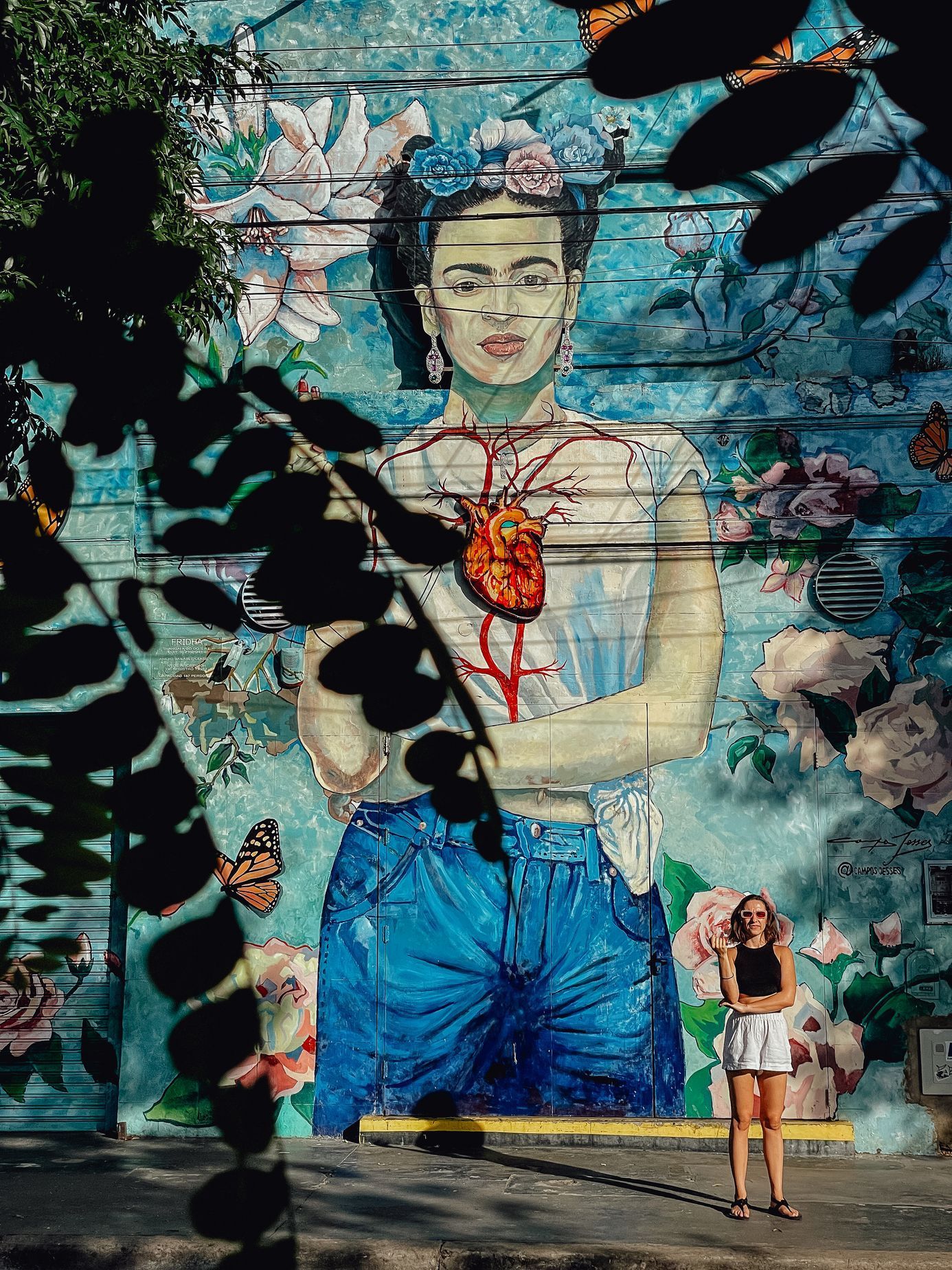 Janka Schweighoferová